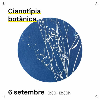Cianotípia Botànica. 6 SETEMBRE