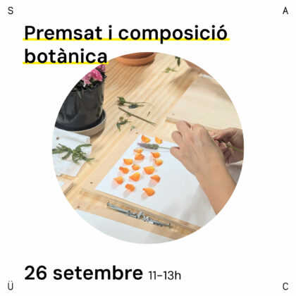 Composició botànica. 26 SETEMBRE