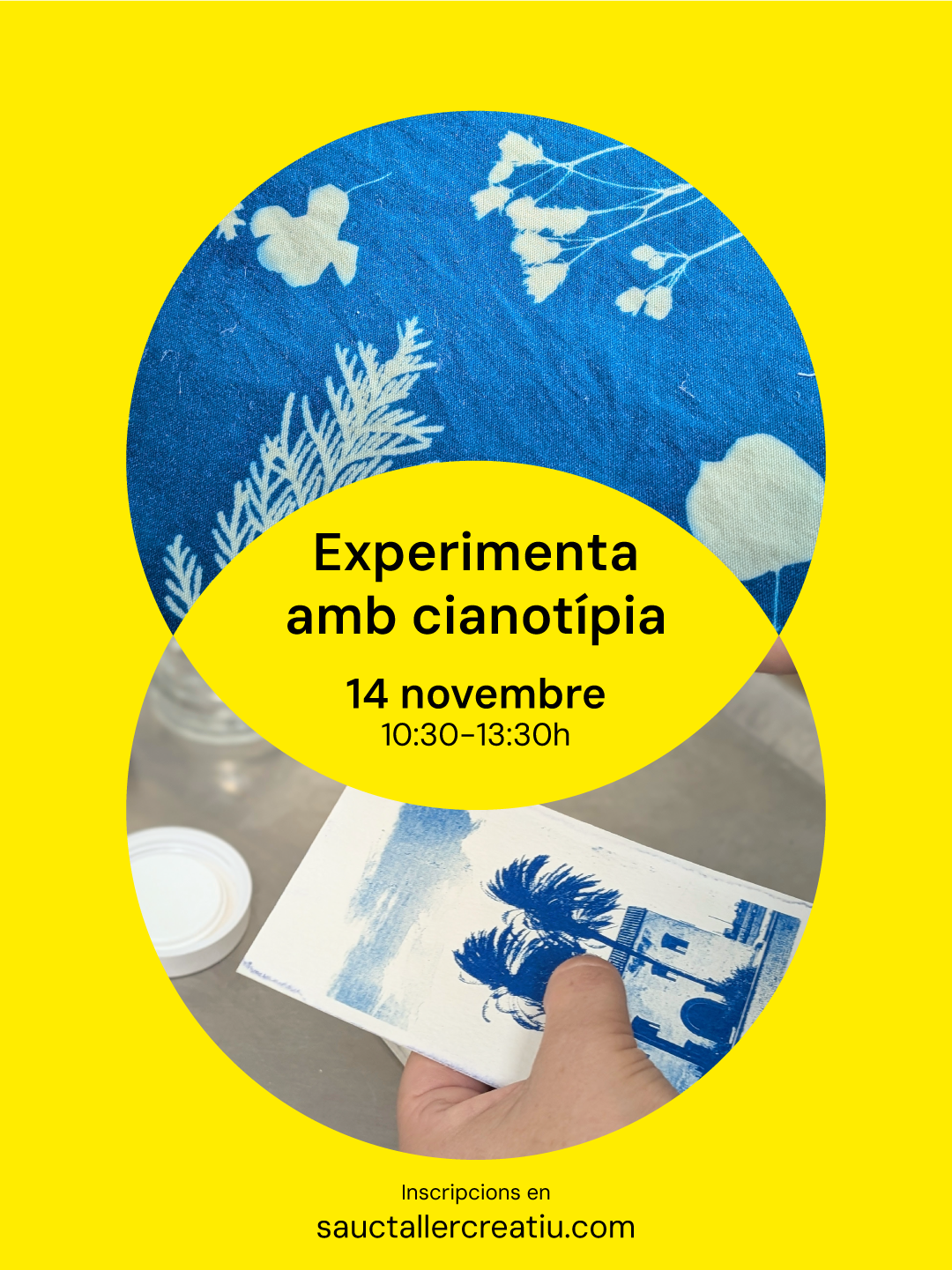 Experimenta amb cianotípia